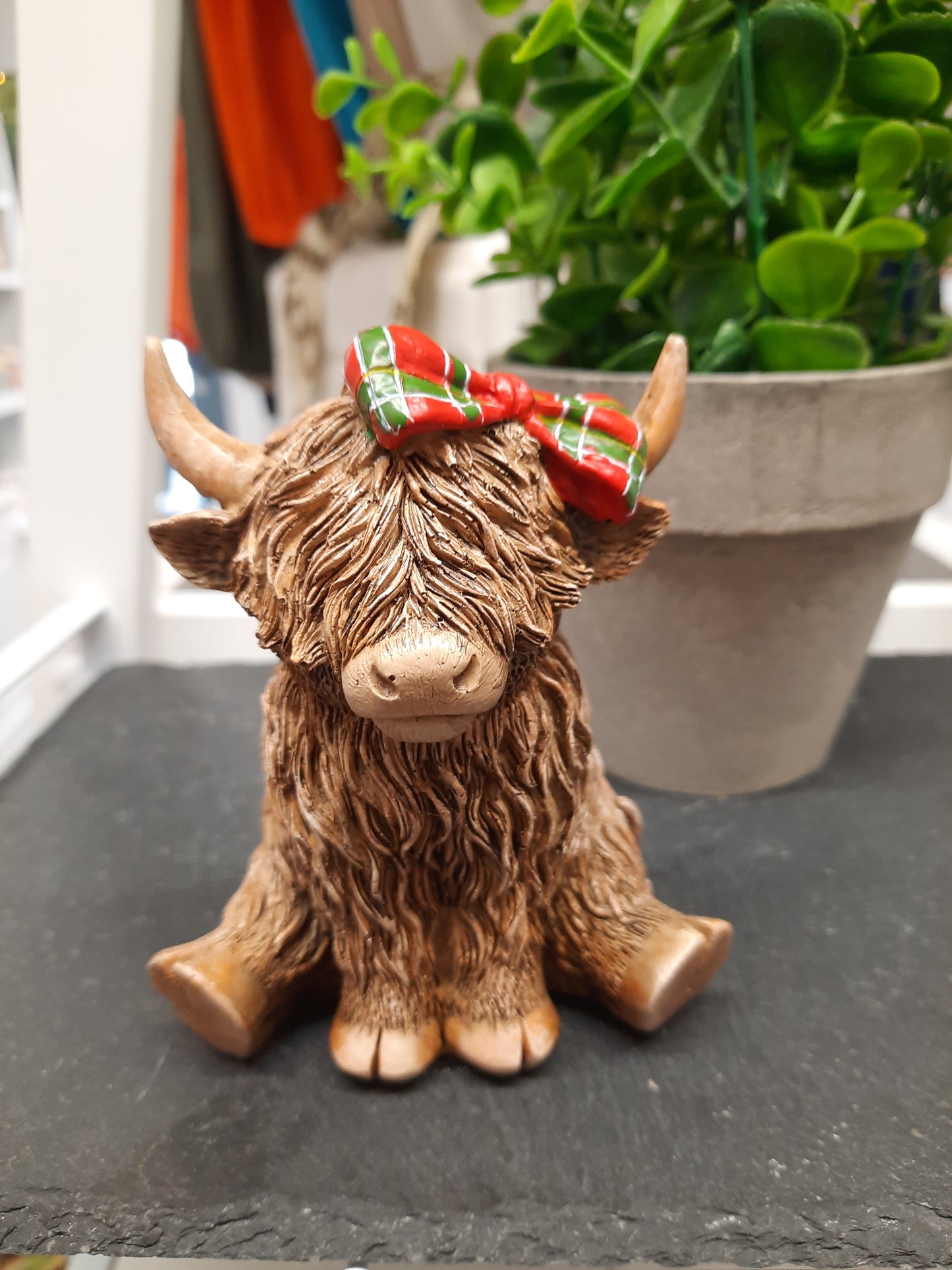 Highland Cow with Tartan Bow...