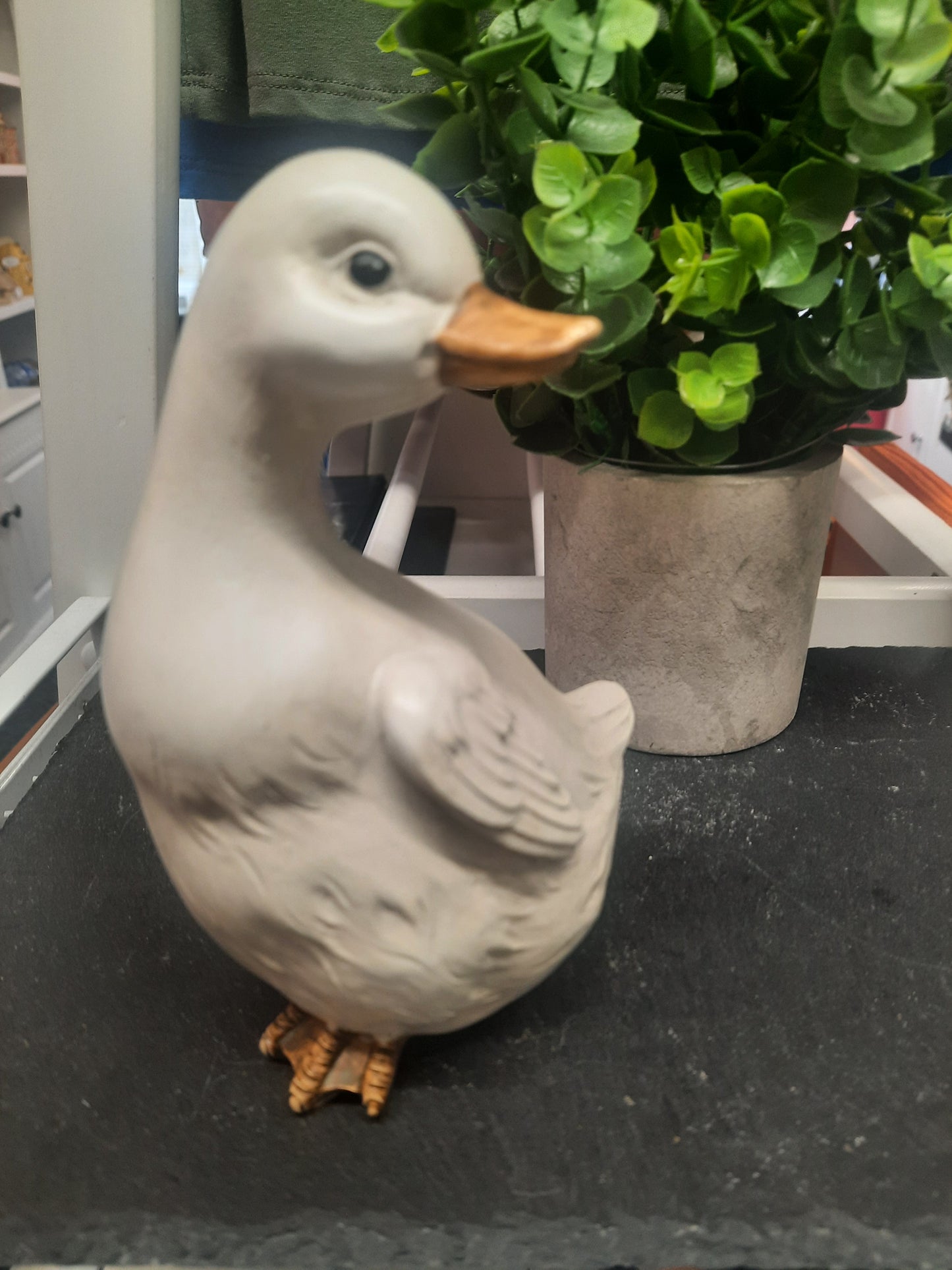 White Duck...