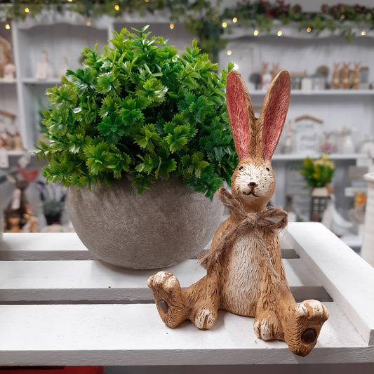 Sitting Rabbit with Bowtie