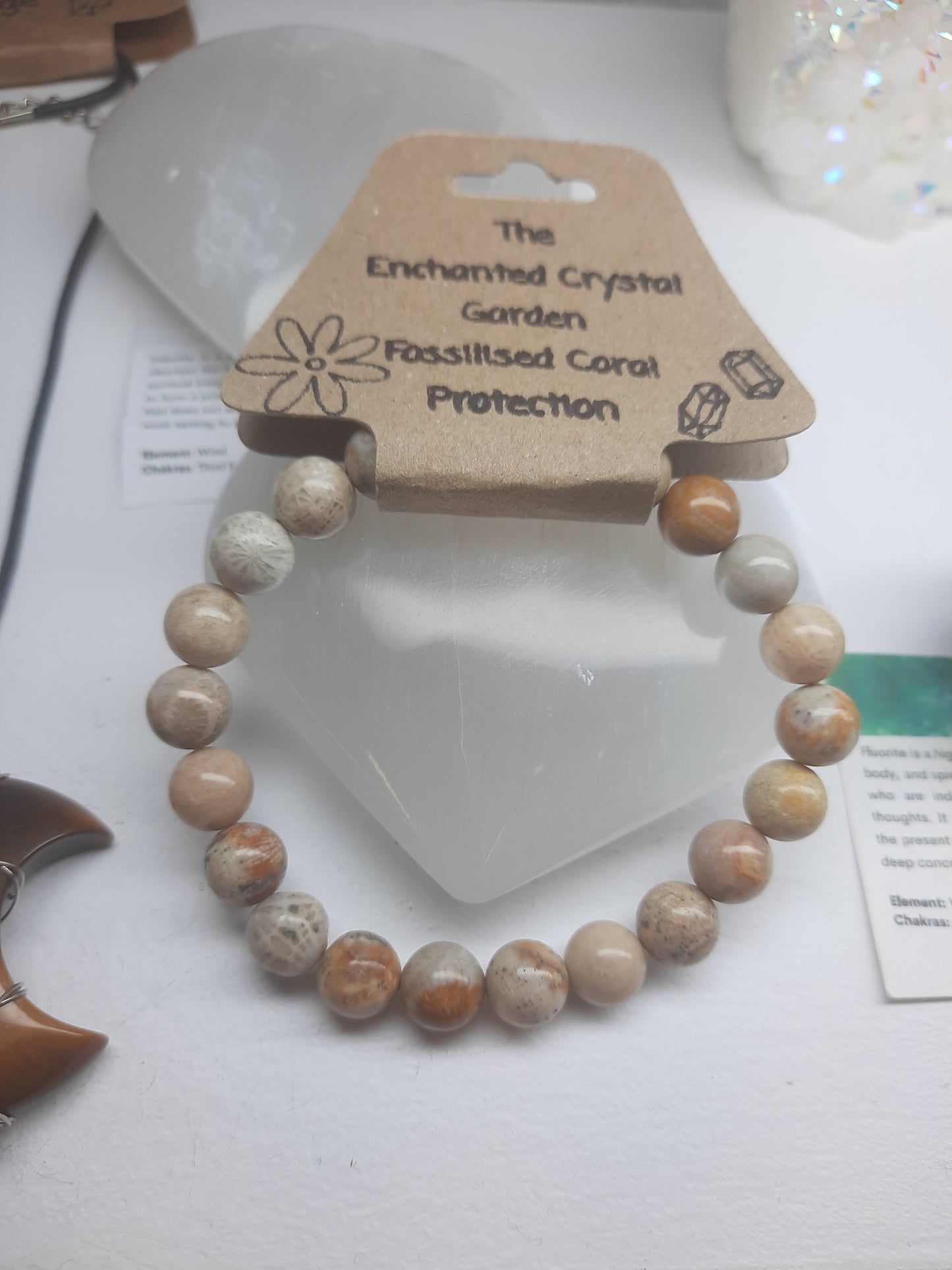 Bead Bracelets ( Fossilised Coral )