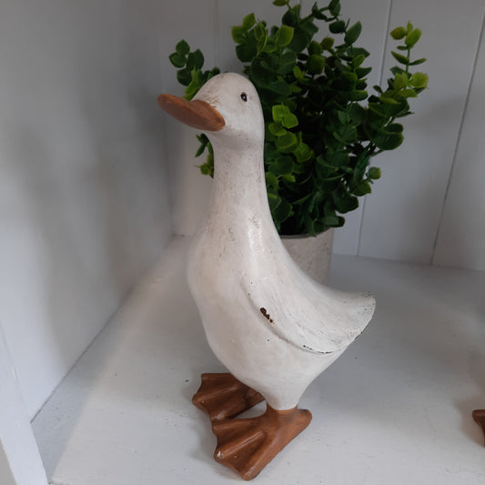Duck (white)