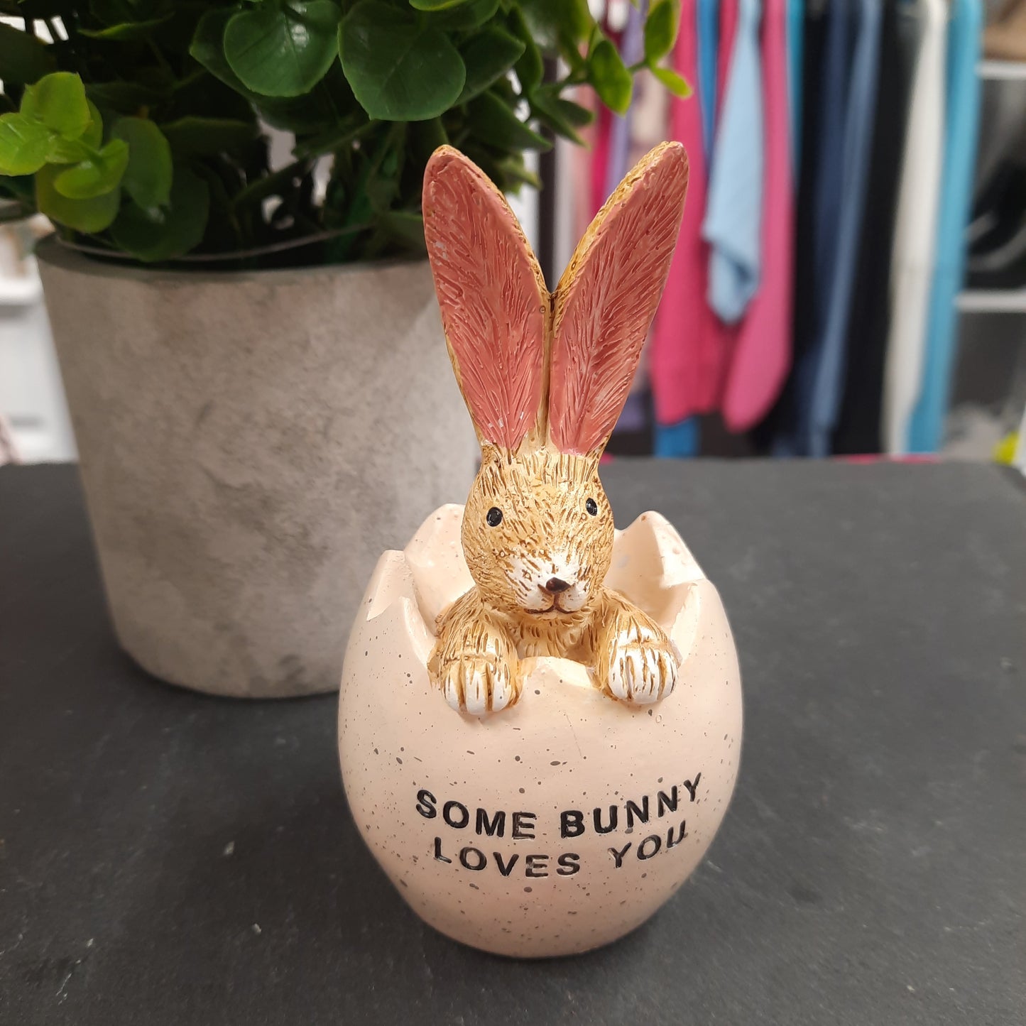 Some Bunny Egg...