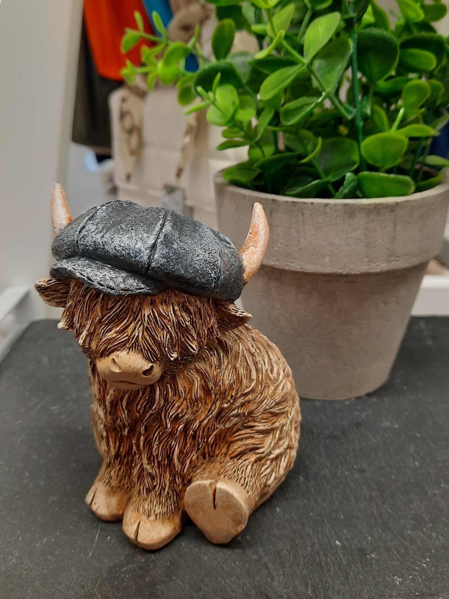 Highland Cow with Grey Flat Cap...