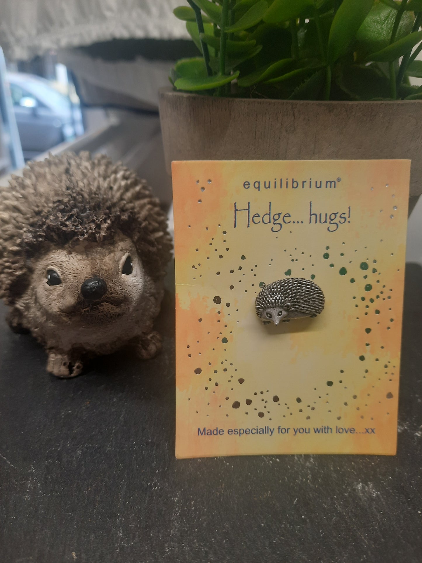 Natural World Pin Hedgehog