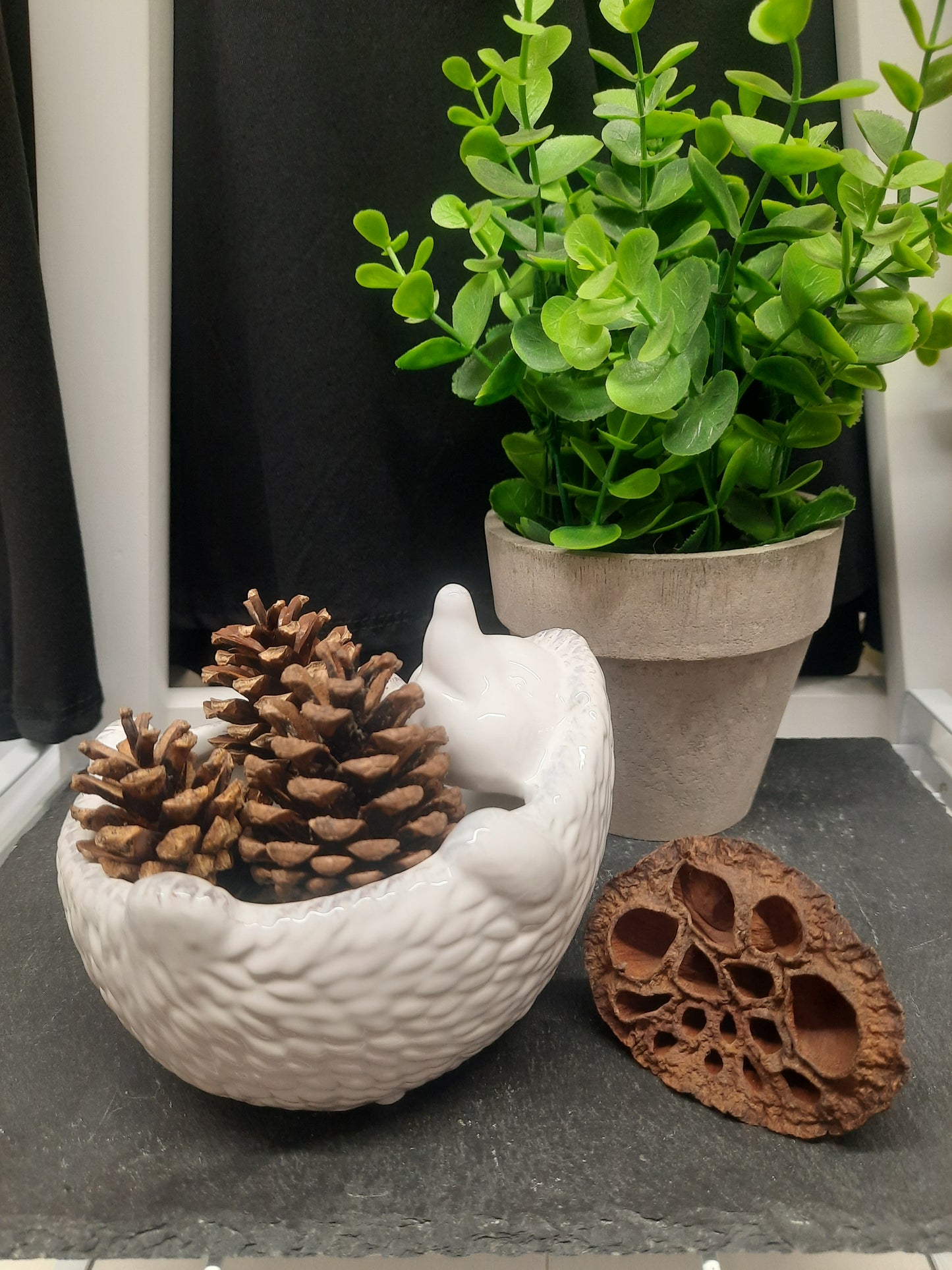 Hedgehog on Back Bowl...