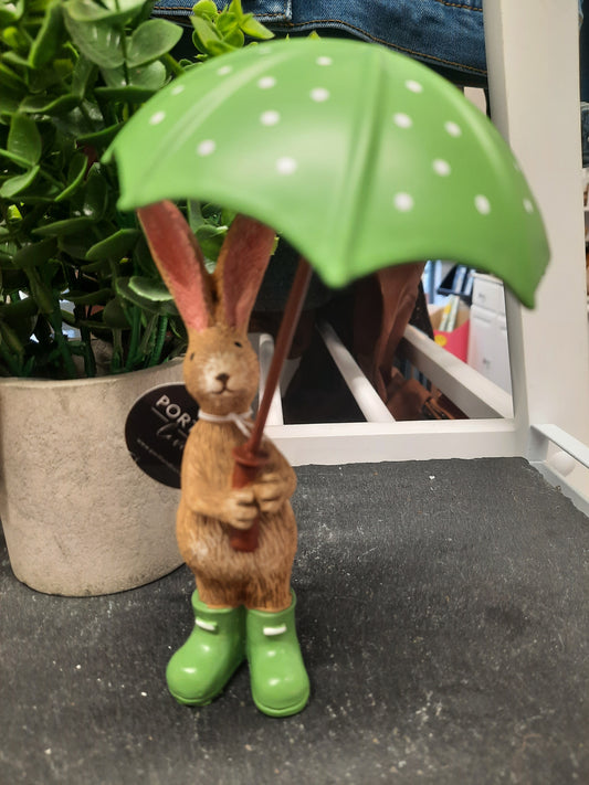 Jasper Rabbit Holding Green Umbrella..