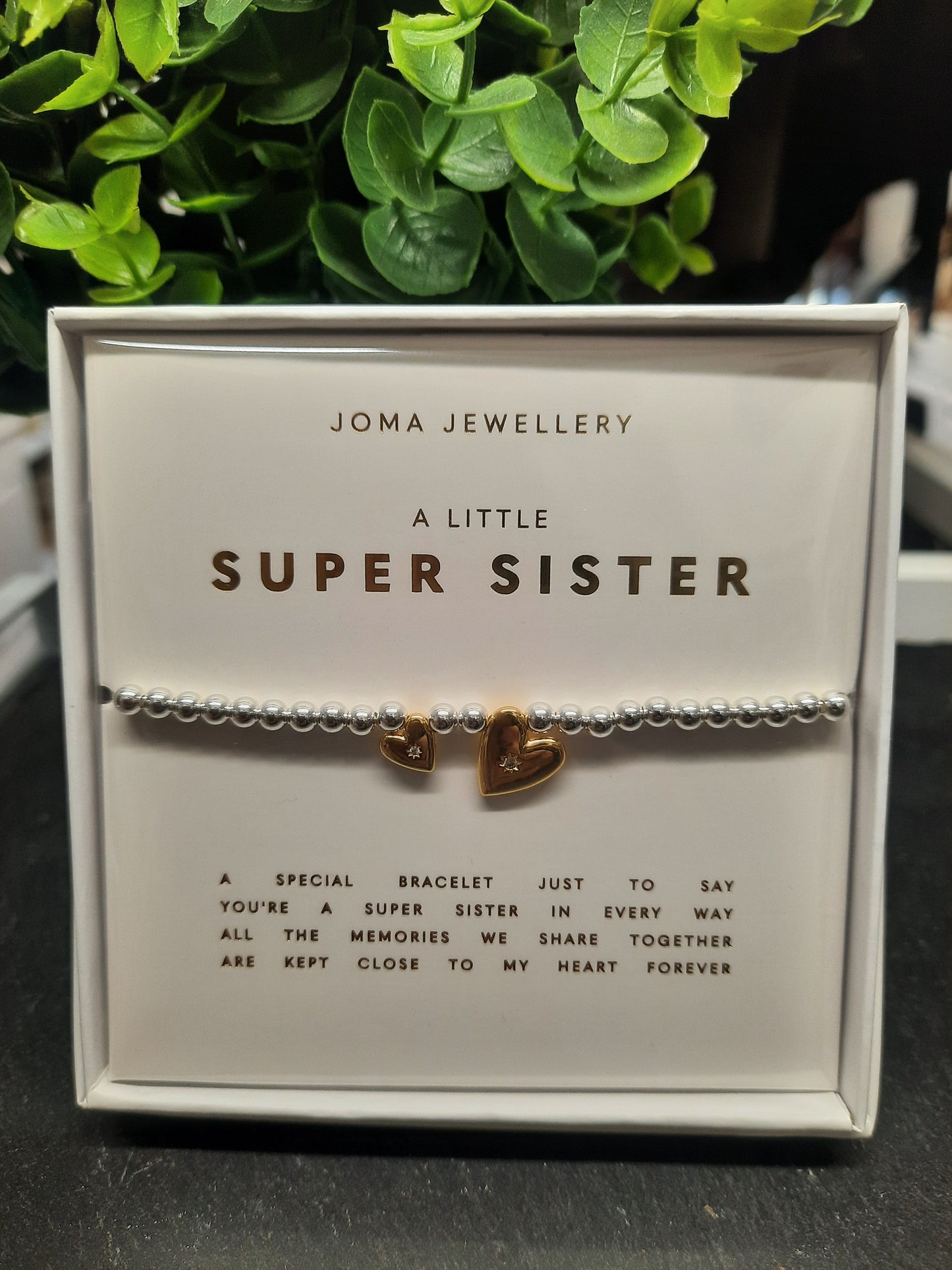 JOMA...Super Sister(Boxed)