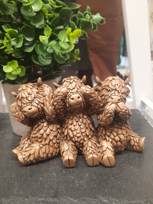 Hughie Highland Cow Hear, See , Speak..
