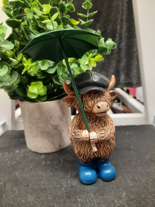 Highland Cow & Umbrella ( Boy )...