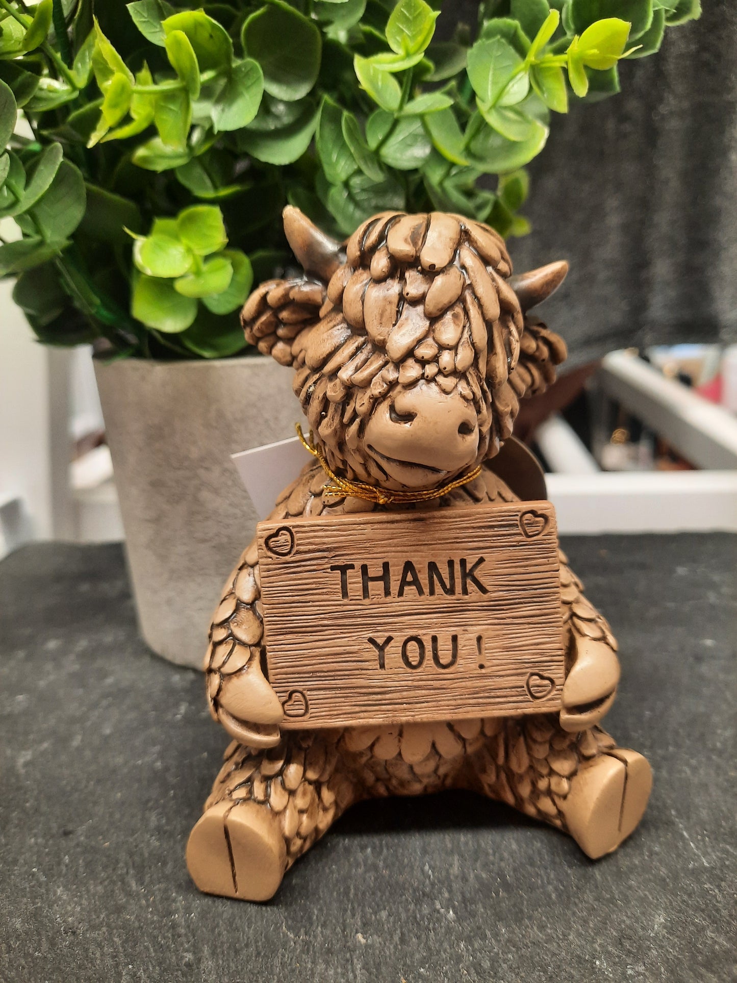 Hughie Highland Cow Thank You...