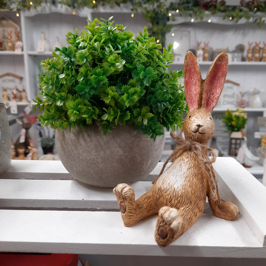 Laid Back Sitting Rabbit with Bowtie